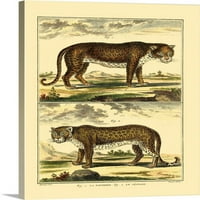 Пантерата и леопардът на Дидро