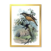 Дизайнарт 'райските птици на клон на дърво' традиционна рамка Арт Принт